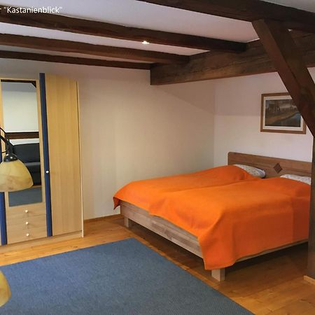 Ferienwohnung Kastanienblick Oder Parkblick, Oder Unser Radlerzimmer! Ziethen  Экстерьер фото